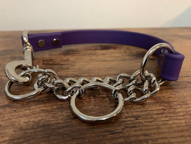 Purple Biothane Martingale Dog Collar with Snap Etsy