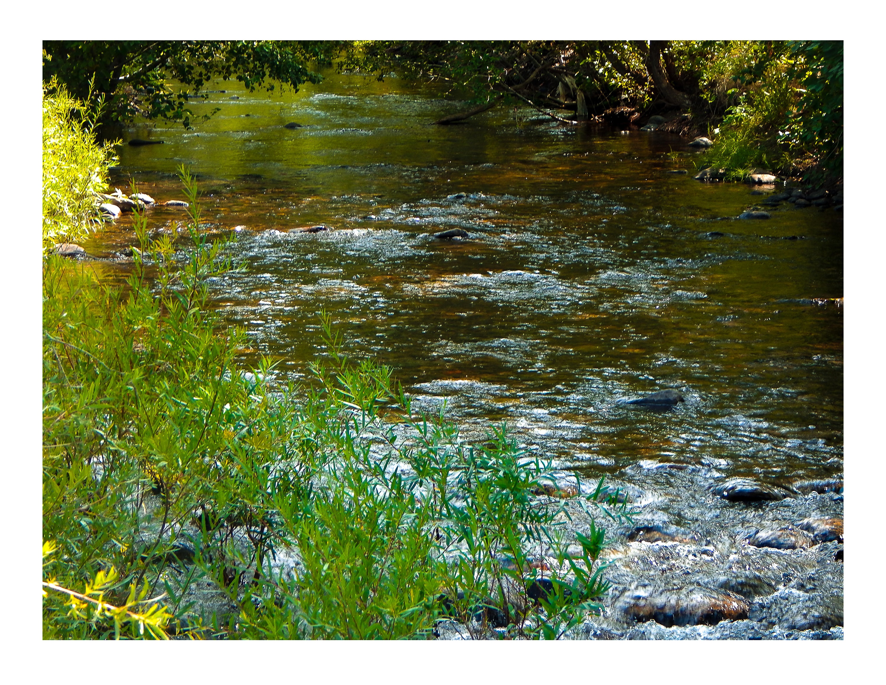 8x10 Digital Print Photo of a Clear Winding Stream Running Over Rocks and through the Woods Bubbling Stream