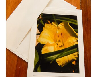 Photo Greeting Card of bright yellow lily in full bloom wrapped in green leaves. Blank inside, envelope included