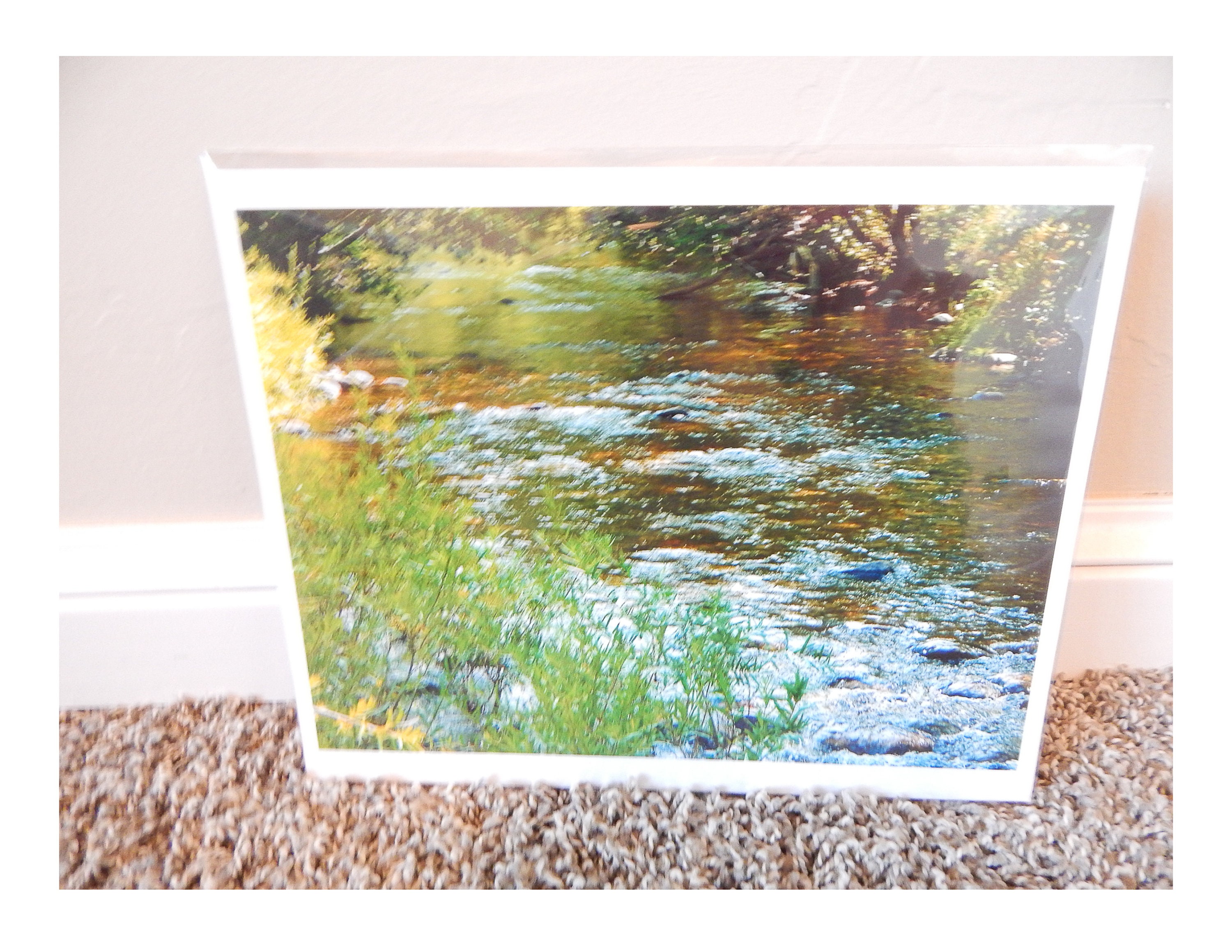 8x10 Digital Print Photo of a Clear Winding Stream Running Over Rocks and through the Woods Bubbling Stream