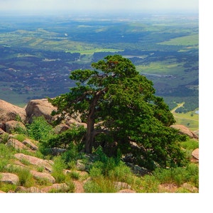 View from the Wichita's View from Elk Mountain in the Wichita Mountains in Southern Oklahoma, 8x10 Photo Print image 6