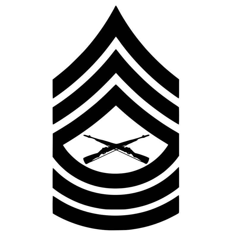United States Marine Corps Insignia Of Rank Pins (Set Of Two