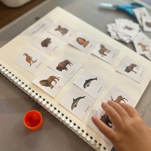 May include: A spiral-bound notebook with flashcards featuring illustrations of various mammals, including a kangaroo, lion, and dolphin. The cards are arranged on the open notebook, with a child's hand interacting with them. A glue stick and orange cap are visible.