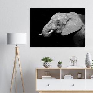 African Elephant portrait
