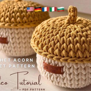 Videotutorial de cesta de bellota a crochet: Cesta de cuerda DIY (Descarga PDF)