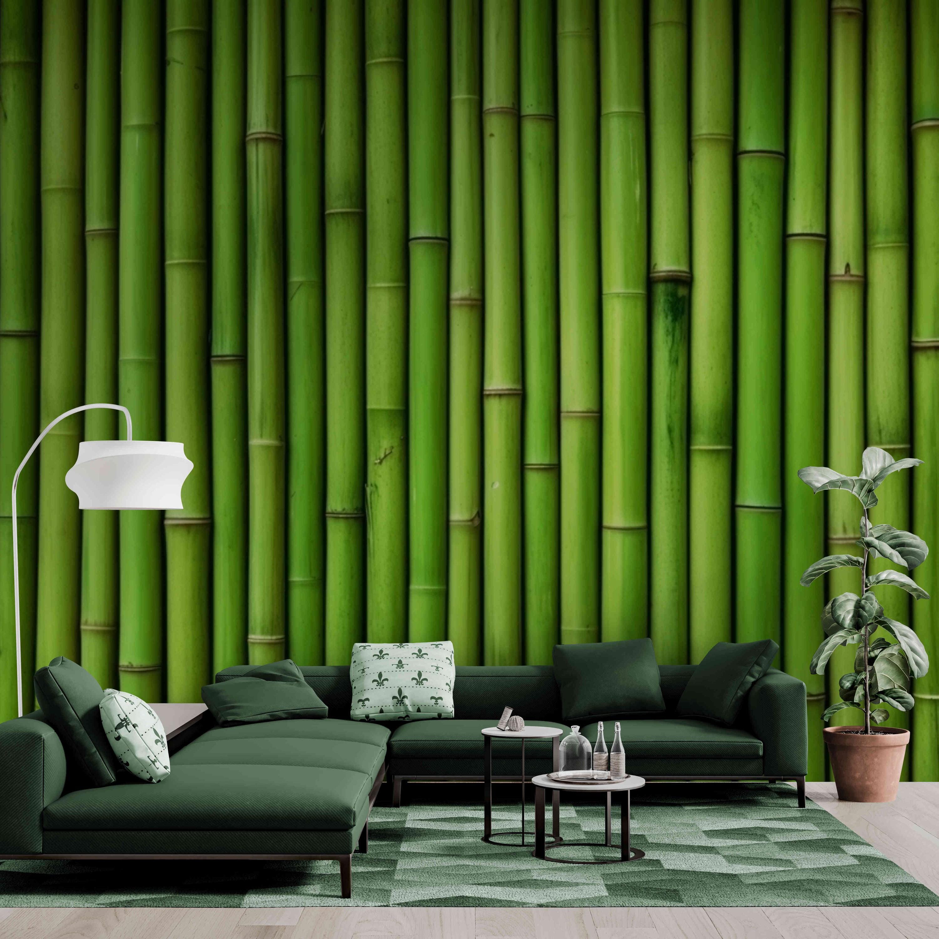 Green Bamboo Wallpaper Mural: Zen Peel and Stick Wall Art - Etsy