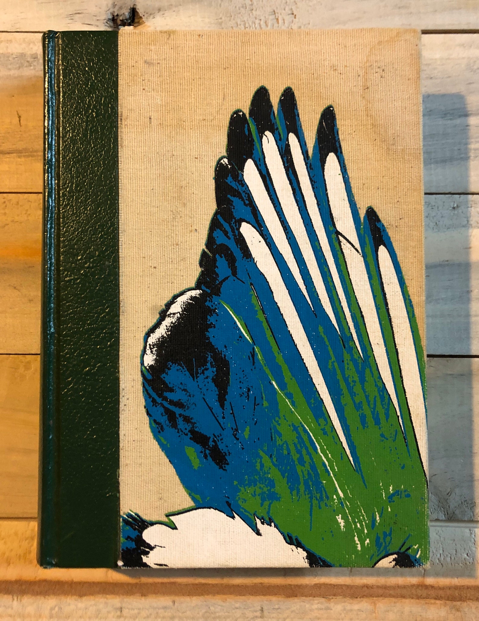 The Double Elephant Folio the Story of Audubon's Birds of Etsy