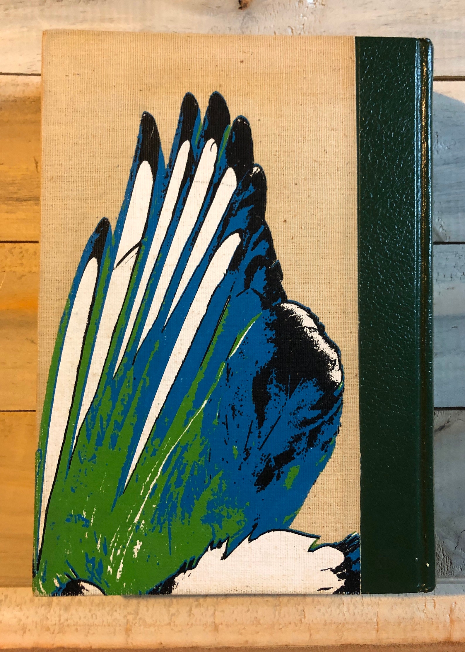 The Double Elephant Folio the Story of Audubon's Birds of Etsy