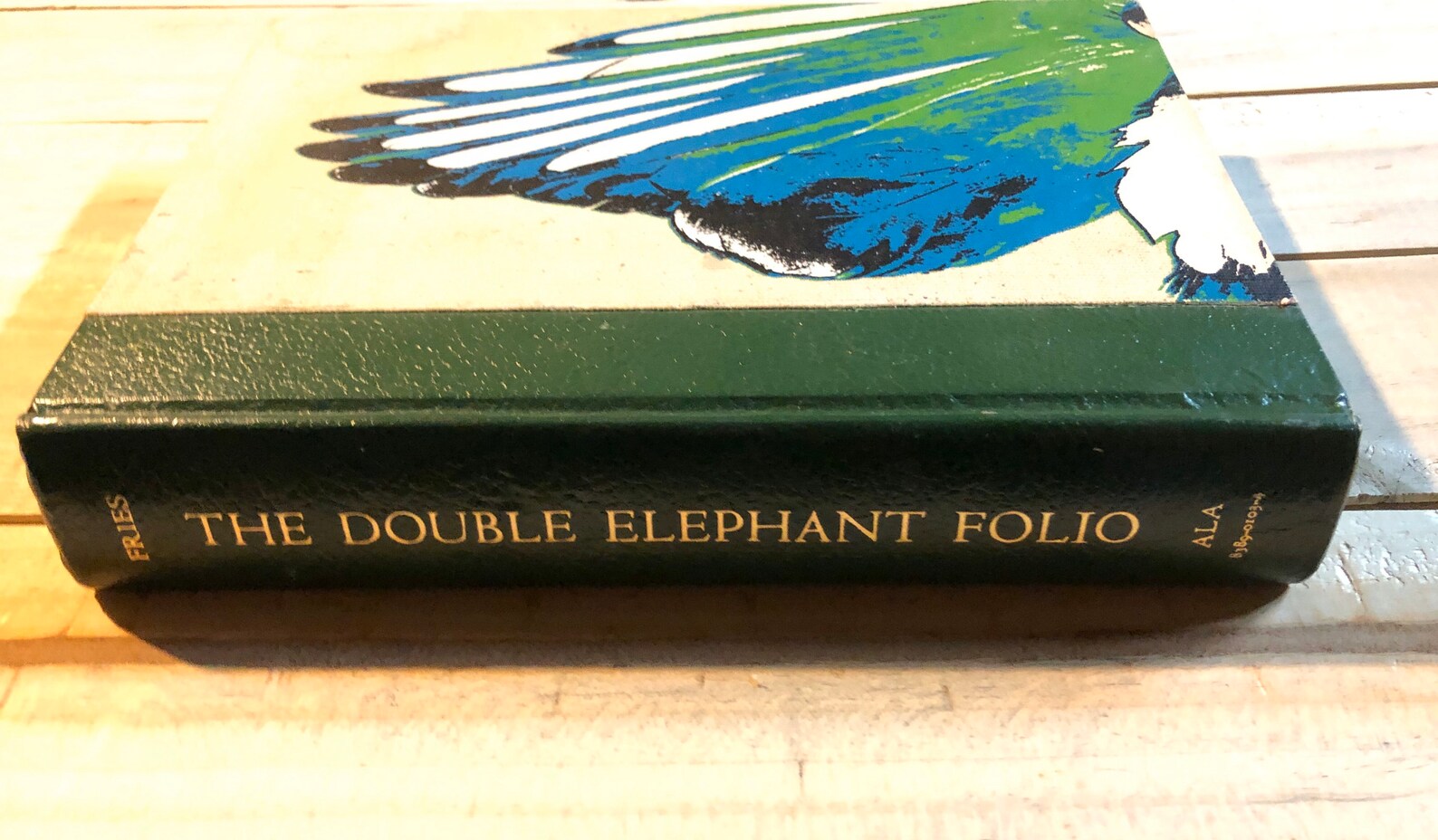 The Double Elephant Folio the Story of Audubon's Birds of Etsy