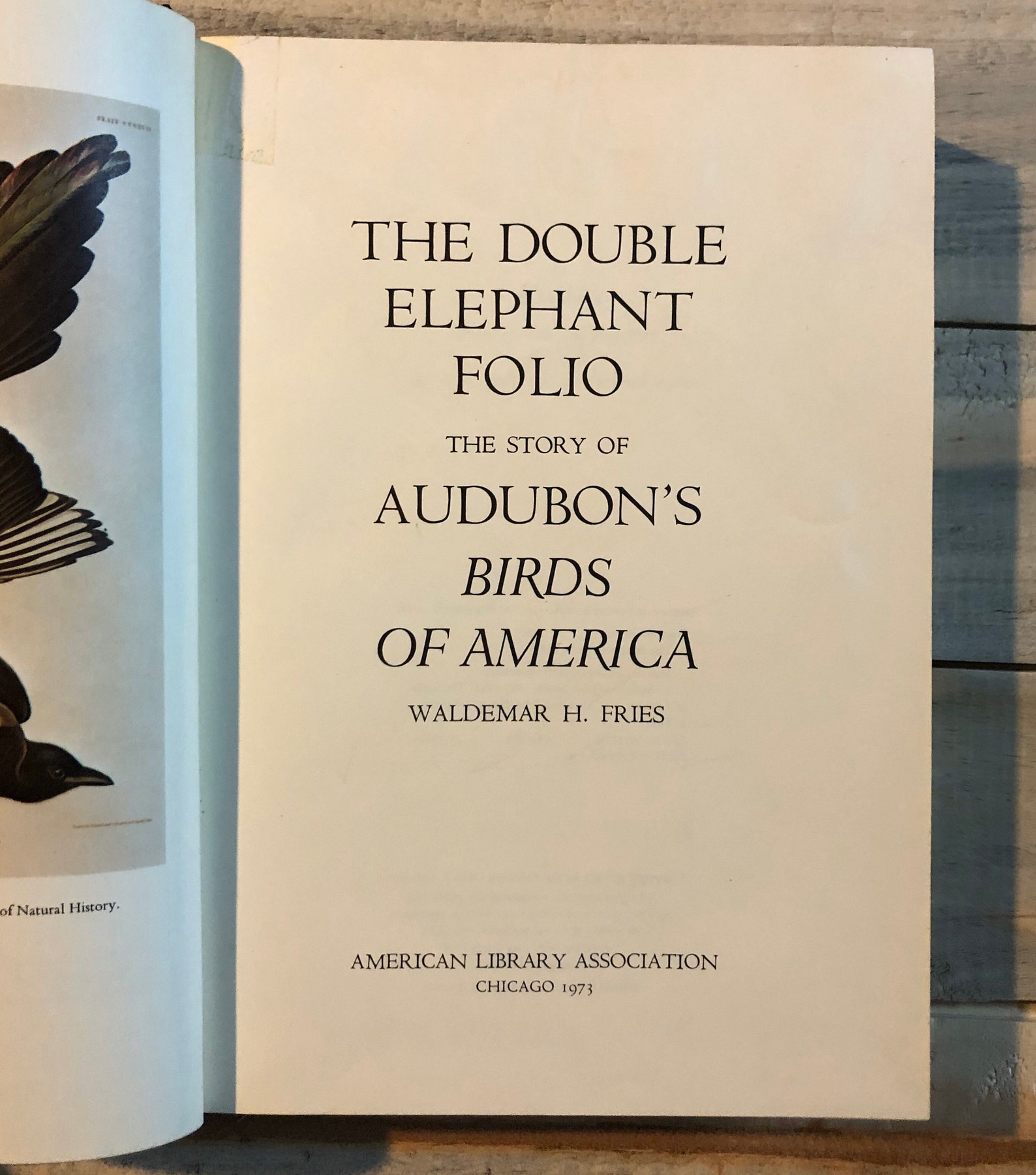 The Double Elephant Folio the Story of Audubon's Birds of Etsy