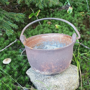 May include: A rustic, weathered metal cauldron with a handle, resting on a stone. The pot has a rusty brown color and sits amidst green moss, grass, and pine needles. A mushroom is visible in the background.
