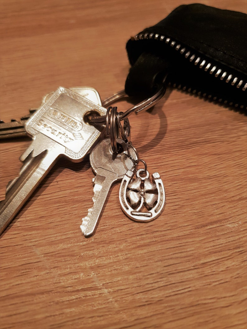 Good Luck Keyring,luck Increase Souvenir, Lucky Charm, Wealth Amulet ...