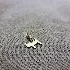 Handgjord kattnyckelring: Lucky Charm-hänge, present till kattälskare