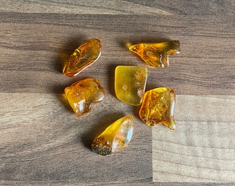 Baltic amber crystal specimen