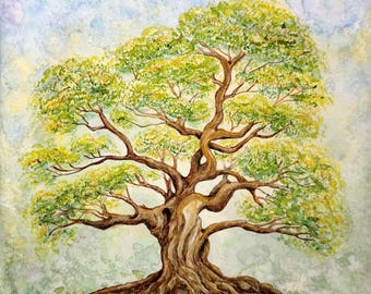 Oak Tree Watercolor Painting: Southern Live Oak Art, 8" Square Canvas