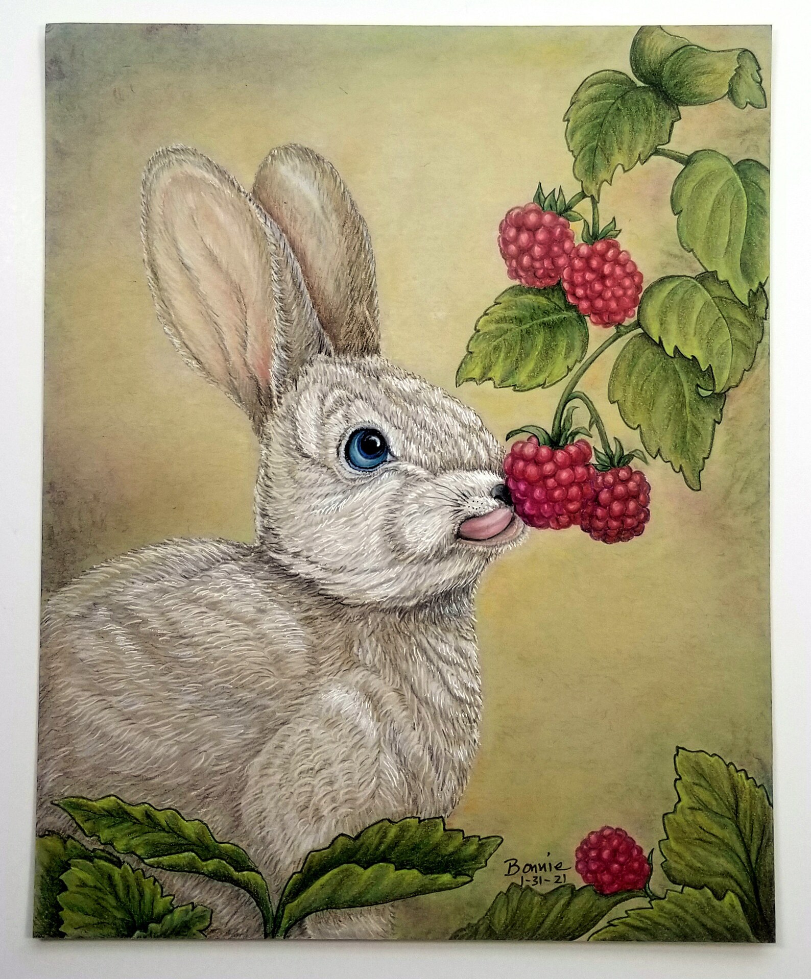 Bunny and Berries Colored Pencil Art Spring Bunny Drawing Etsy