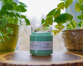 chandelle de soya soy candle candle natural candle chandelle Into the Woods soy candle handpoured candle 7oz candle bougie faitmain