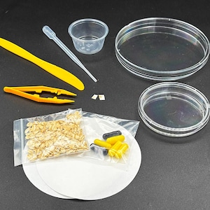 May include: A set of science experiment supplies including a petri dish, a small plastic cup, a yellow plastic spatula, a pair of tweezers, a dropper, a bag of oats, a bag of yellow and black capsules, and two white filter papers.