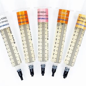 May include: Five clear syringes filled with a beige liquid, each labeled with different mushroom names and LiquidFungi.com. The syringes have black plungers and are arranged on a white surface. The labels include "Lion's Mane", "Caterpillar", "Red Reishi", "Chaga", and "Turkey Tail".