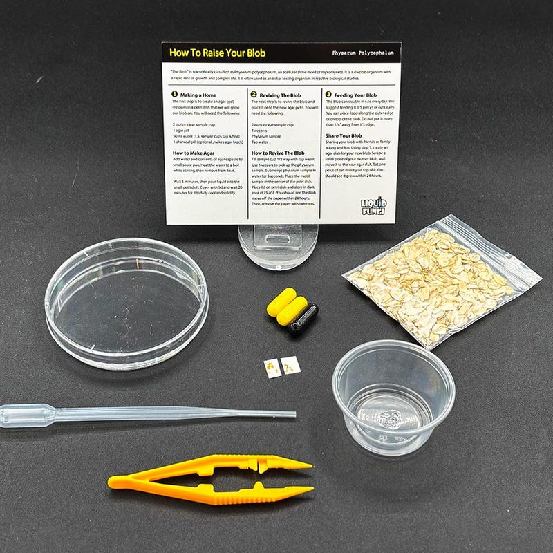 Kids Biology Kit - Etsy