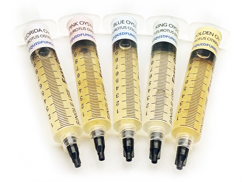 5 Pack Mushroom Liquid Culture - Your Choice