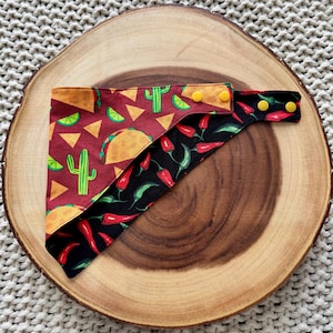 Taco ‘bout Cute reversible pet bandana