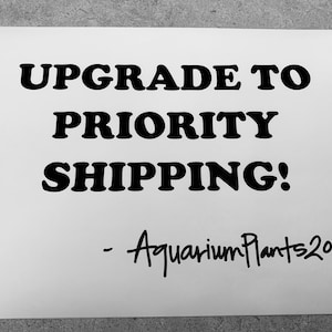 May include: White sign with black text that reads "Upgrade to Priority Shipping!" with a handwritten signature below that reads "AquariumPlants209".