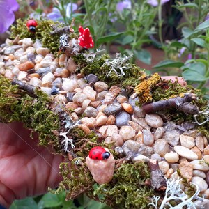 Puede incluir: Una escena de jard&iacute;n en miniatura con un camino hecho de peque&ntilde;as piedras, musgo y ramitas. Hay tres mariquitas rojas en el camino.