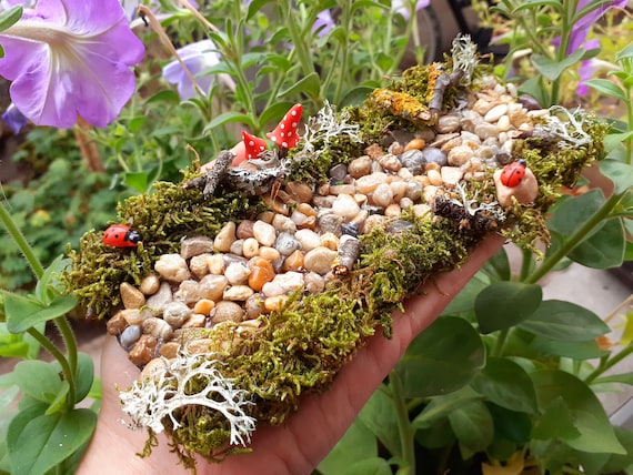 Fairy Garden Path, Forest Path, Terrarium Accessories, Dollhouse path, Flower path, Fairy pathway, miniature mushrooms, fairy accessories