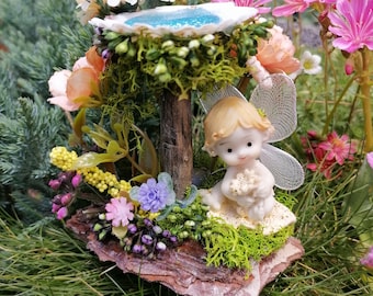 Fairy Garden Birdbath, Shell Birdbath, Miniature Fairy Garden, Fairy Accessories, Miniature Birdbath, Fairy Garden Accessory, Fairy Garden