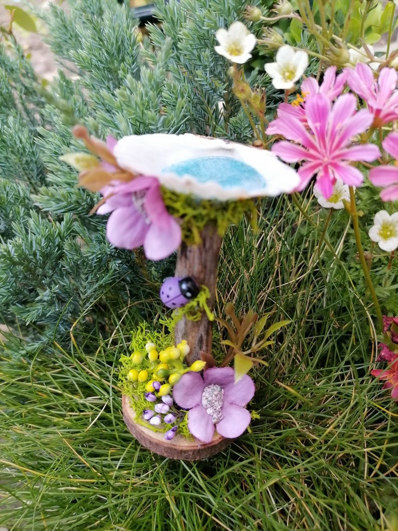 Op de afbeelding: Een miniatuur fee&euml;ntuin sc&egrave;ne met een klein blauw vijvertje, een paarse bloem en een lieveheersbeestje op een houten tak. De sc&egrave;ne is omgeven door groen gras en bloemen.