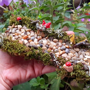 Puede incluir: Una escena de jard&iacute;n en miniatura con un camino de guijarros, musgo y peque&ntilde;as figuritas de mariquitas rojas. La escena est&aacute; colocada sobre un trozo de madera y se sostiene en una mano.