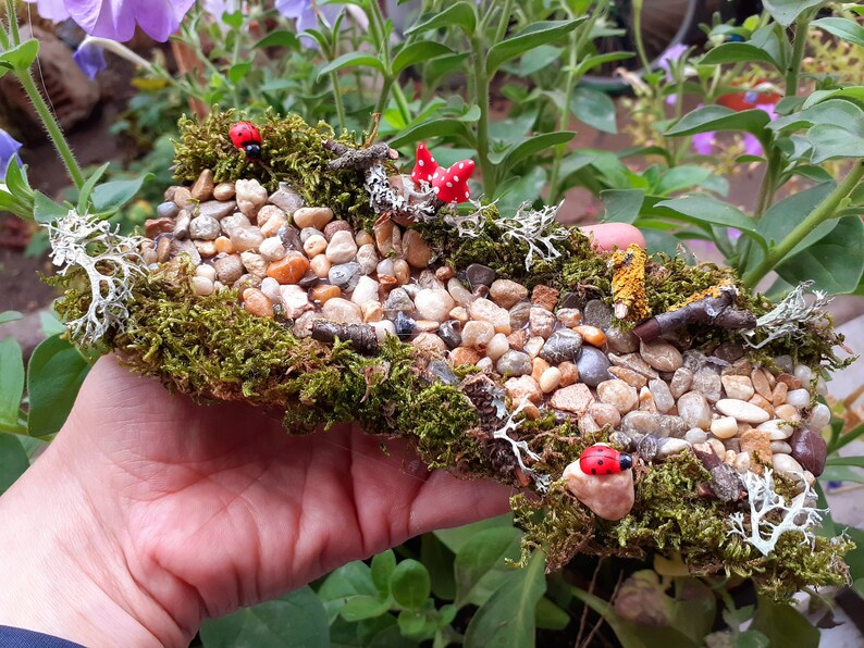Puede incluir: Una escena de jard&iacute;n en miniatura con un camino de guijarros, musgo y peque&ntilde;as figuritas de mariquitas rojas. La escena est&aacute; colocada sobre un trozo de madera y se sostiene en una mano.