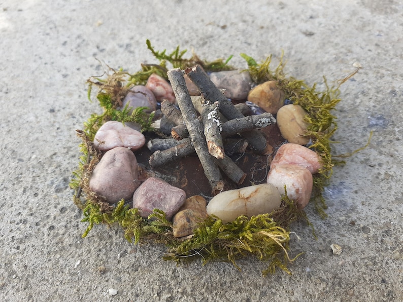 Pu&ograve; includere: Un fal&ograve; in miniatura con piccoli bastoncini marroni e pietre grigie disposte in cerchio attorno a una base marrone. Il fal&ograve; &egrave; circondato da muschio verde.