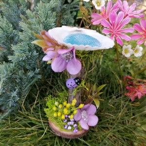 Op de afbeelding: Een miniatuur fee&euml;ntuin sc&egrave;ne met een wit schelp vogelbad, een paarse lieveheersbeestje en roze en paarse bloemen op een houten basis.