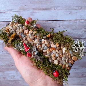 Puede incluir: Un camino de piedra en miniatura con musgo, peque&ntilde;os hongos rojos y mariquitas. El camino est&aacute; hecho de peque&ntilde;as piedras redondas y est&aacute; rodeado de musgo verde.