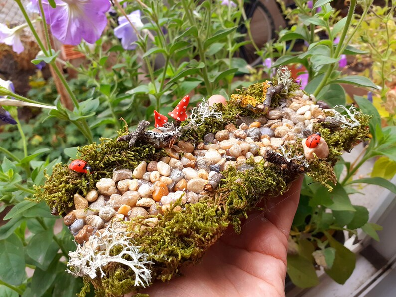 Puede incluir: Una escena de jard&iacute;n en miniatura con un camino hecho de peque&ntilde;as piedras, rodeado de musgo verde y peque&ntilde;os hongos rojos. Tambi&eacute;n hay dos mariquitas rojas en el camino.