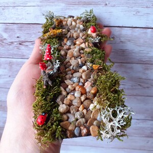 Puede incluir: Un camino de jard&iacute;n de hadas en miniatura hecho de peque&ntilde;as piedras y musgo. El camino est&aacute; bordeado de peque&ntilde;as setas rojas y mariquitas.