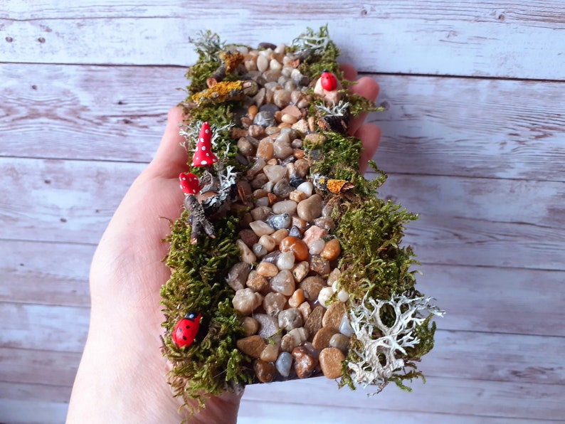 Puede incluir: Un camino de jard&iacute;n de hadas en miniatura hecho de peque&ntilde;as piedras y musgo. El camino est&aacute; bordeado de peque&ntilde;as setas rojas y mariquitas.