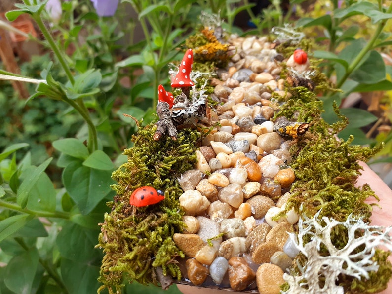 Puede incluir: Una escena de jard&iacute;n de hadas en miniatura con un camino sinuoso de peque&ntilde;as piedras, musgo y setas rojas. Hay dos mariquitas rojas en el musgo.