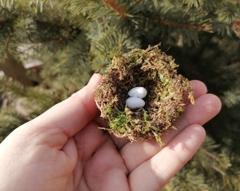 Bird Nest - Etsy