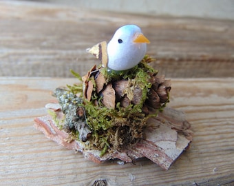 Uccello in miniatura, forniture di fata, accento in miniatura, accessori Dollhouse, decorazione dollhouse, fata uccello, giardino delle fate, uccello in miniatura, accento
