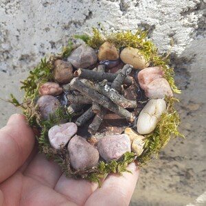 Pu&ograve; includere: Un fal&ograve; in miniatura fatto di piccole pietre e ramoscelli, circondato da muschio. Il fal&ograve; &egrave; posto su una base marrone ed &egrave; grande circa quanto una mano.