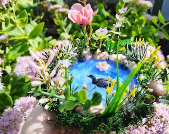 Fairy Duck Pond, Miniature Garden Accessory, Fairy garden pond, Fairy Garden Accessories, Terrarium Pond, Fairy Garden Supplies, Duck pond