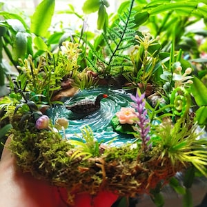 Fairy Duck Pond, Miniature Garden Accessory, Fairy garden pond, Fairy Garden Accessories, Terrarium Pond, Fairy Garden Supplies, Duck pond