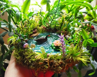Fairy Duck Pond, Miniature Garden Accessory, Fairy garden pond, Fairy Garden Accessories, Terrarium Pond, Fairy Garden Supplies, Duck pond
