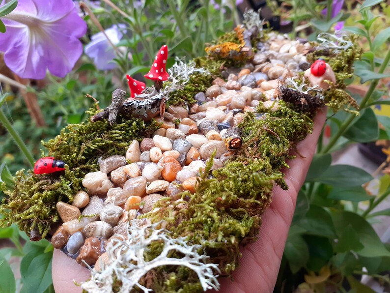 Puede incluir: Una escena de jard&iacute;n de hadas en miniatura con un camino hecho de peque&ntilde;as piedras, musgo verde y l&iacute;quenes blancos. Hay dos setas rojas y blancas y dos mariquitas rojas.