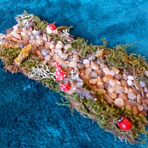 Puede incluir: Una escena de bosque en miniatura con un camino de peque&ntilde;as piedras, musgo y setas rojas en miniatura y mariquitas.