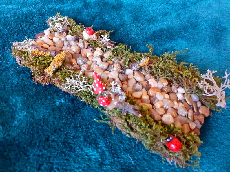 Puede incluir: Una escena de bosque en miniatura con un camino de peque&ntilde;as piedras, musgo y setas rojas en miniatura y mariquitas.