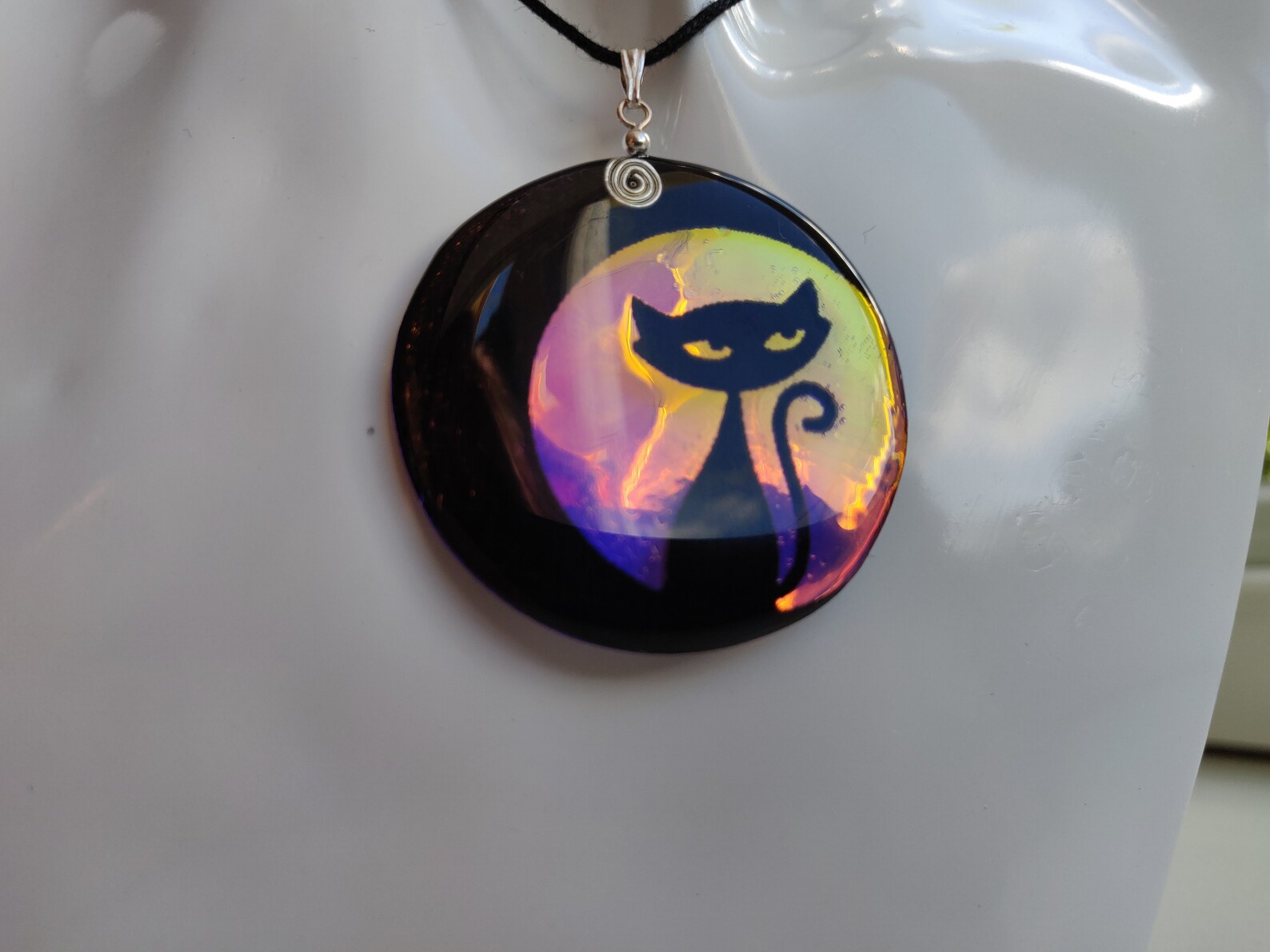 cat and moon
